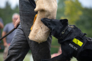 Police Have Qualified Immunity for K-9 Dog Bites