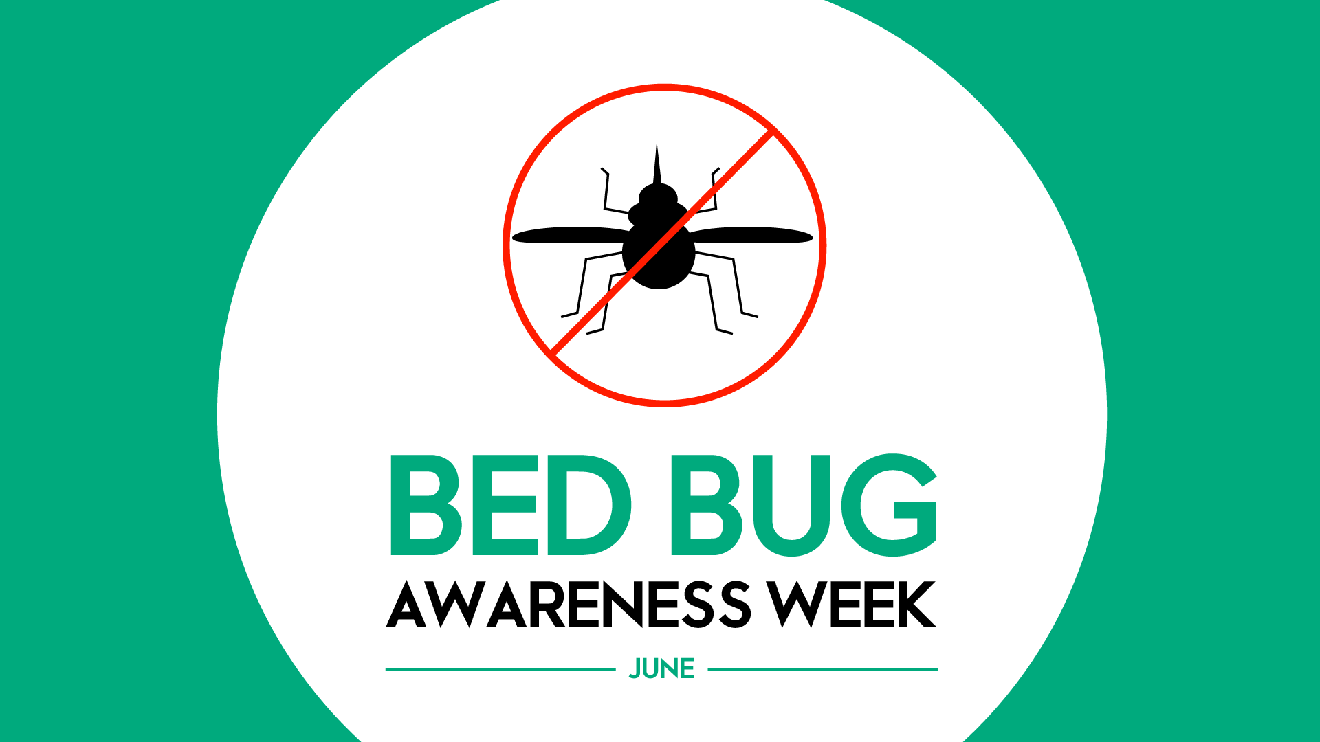 Bed Bug Awareness